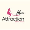 Mane Attraction Hair Salon